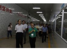 廣西農(nóng)業(yè)廳各領(lǐng)導(dǎo)到正豐視察